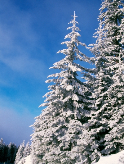 The White Mountains in winter